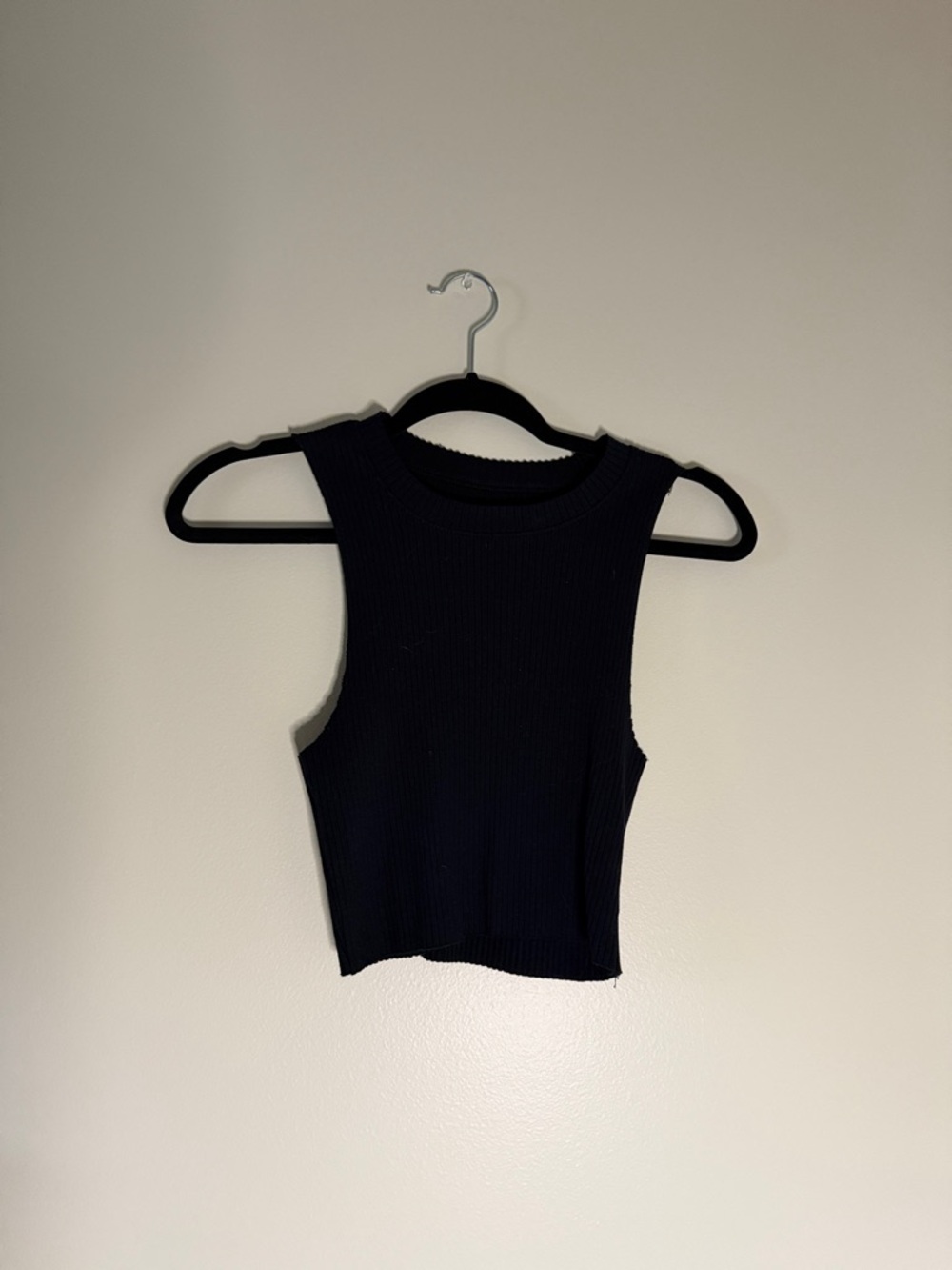 aerie Black Ribbed Cropped Tank